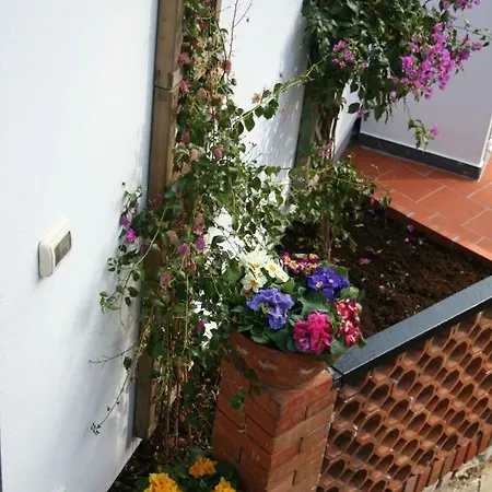 Casa Bougainvillea Nyaraló Diano Marina